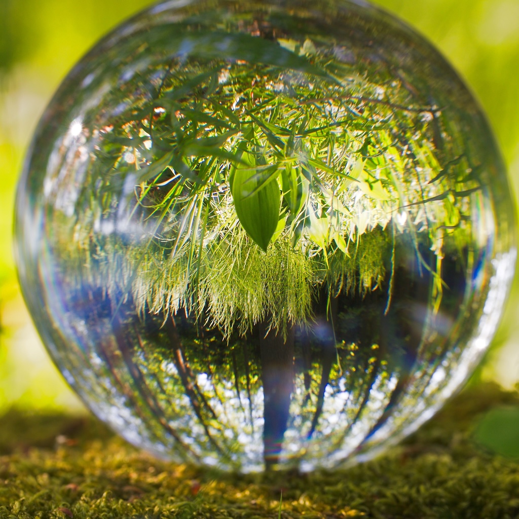 BIO 101 – Lake Ecology: Discovering Life in Water